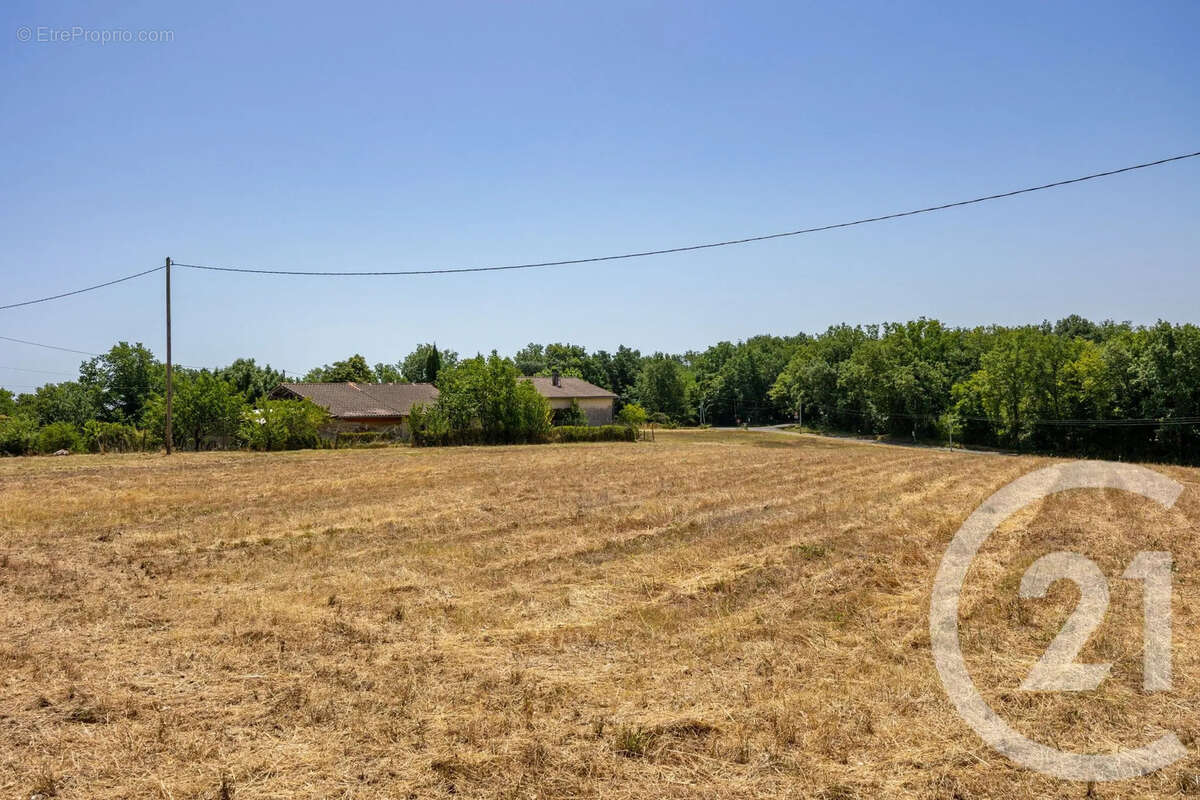 Maison 113 m² à Lisle-Sur-Tarn  - photo 14