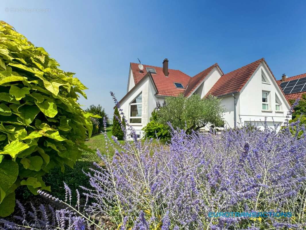 Maison à ESCHBACH