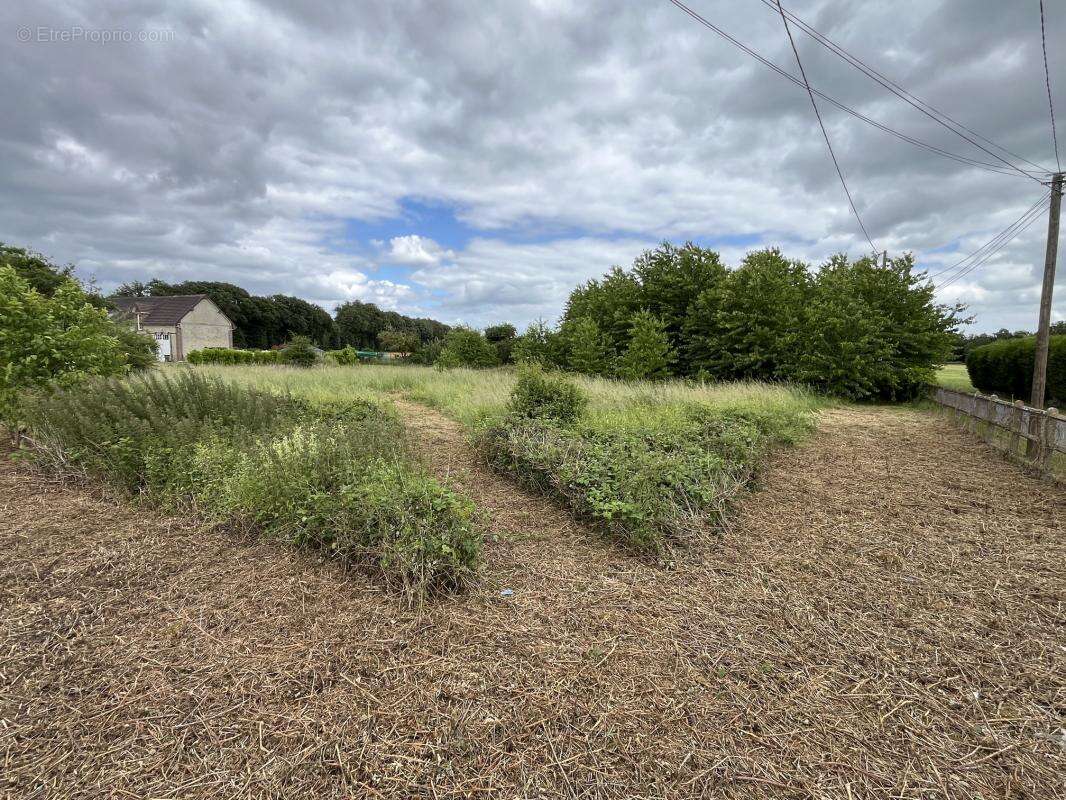 Terrain constructible arboré de 2 896 m² dans un environnement privilégié - La Madeleine de Nonancourt - photo 6