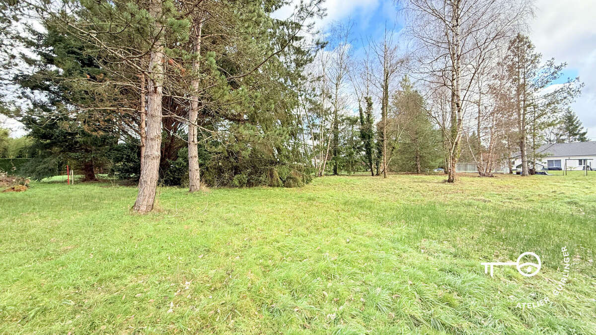 Terrain à MONTRIEUX-EN-SOLOGNE