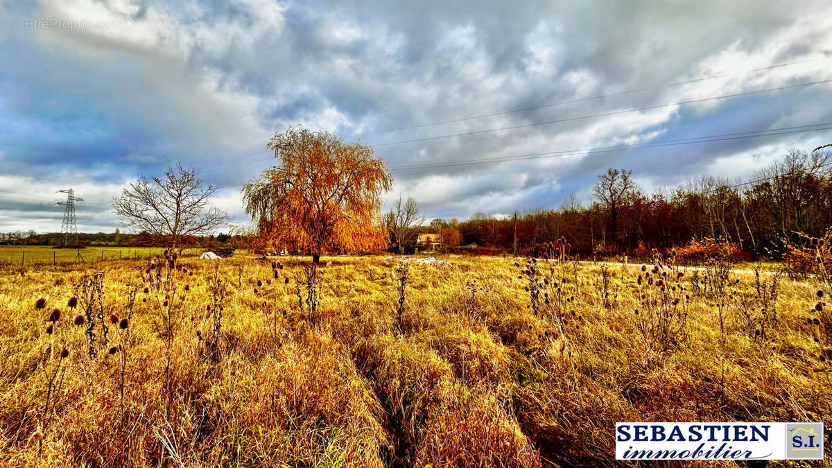 Terrain à LES BORDES-AUMONT