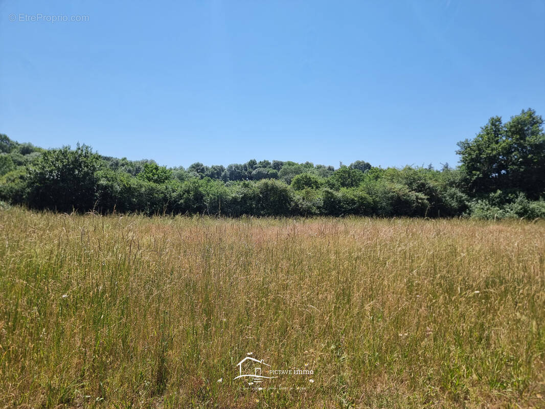Terrain à SANXAY