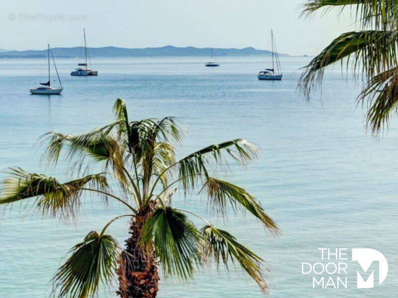 Commerce à LE LAVANDOU