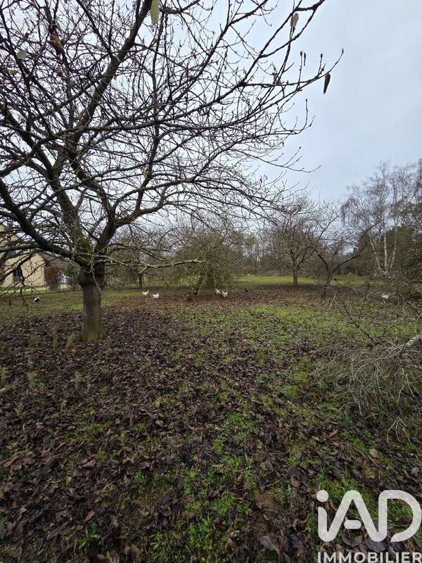 Photo 2 - Terrain à SAVIGNE-L&#039;EVEQUE