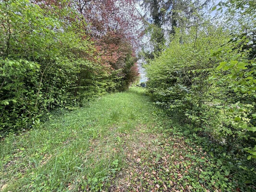 Terrain à SARREBOURG