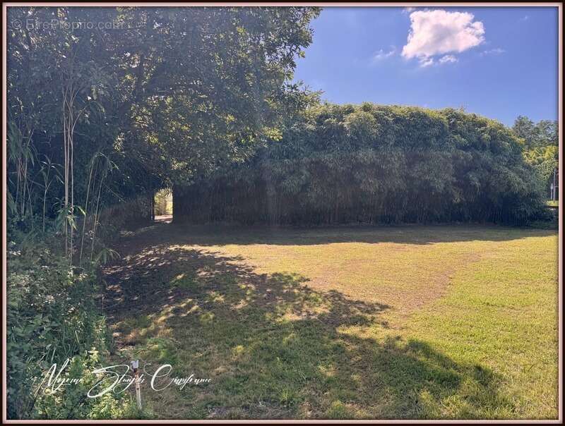 Maison à BENESSE-MAREMNE