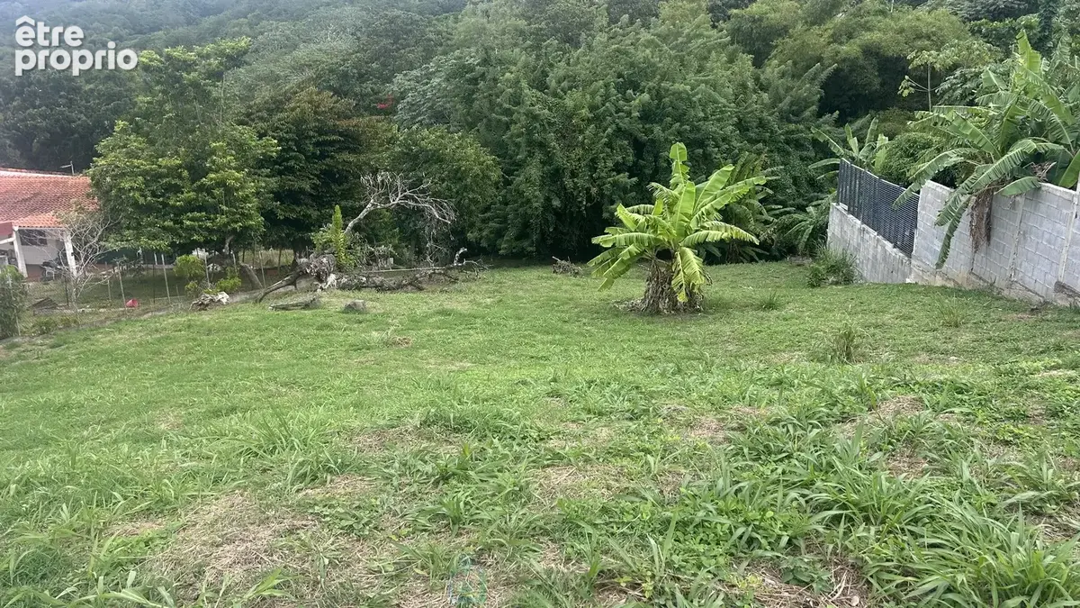 Terrain à LA TRINITE
