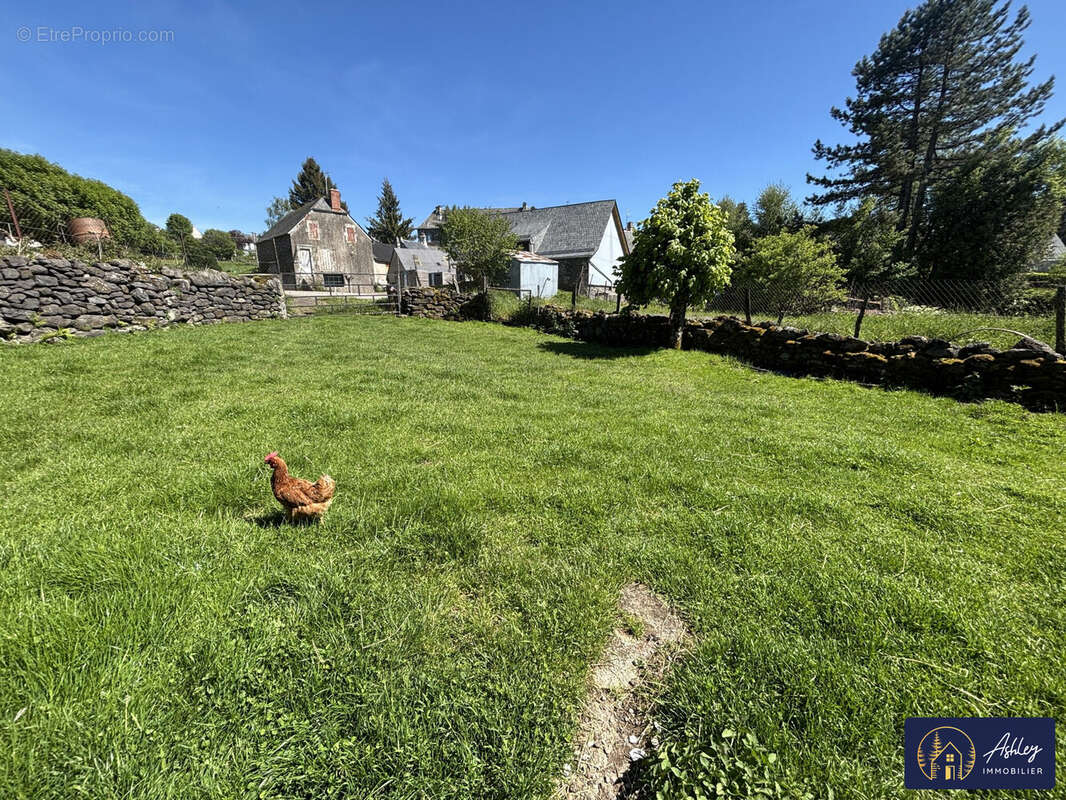 Corps de ferme à Trizac (Cantal) - Maison à TRIZAC