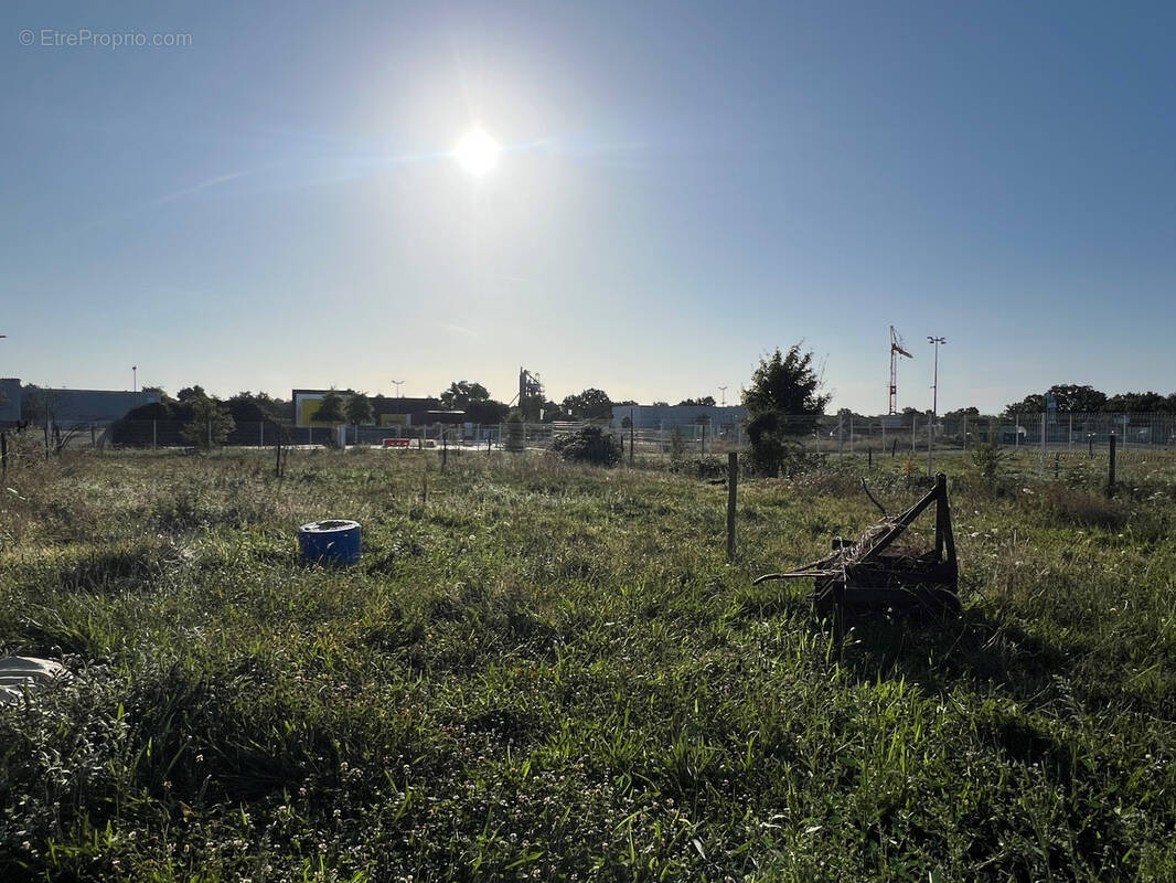 Terrain à LA CHAPELLE-ACHARD
