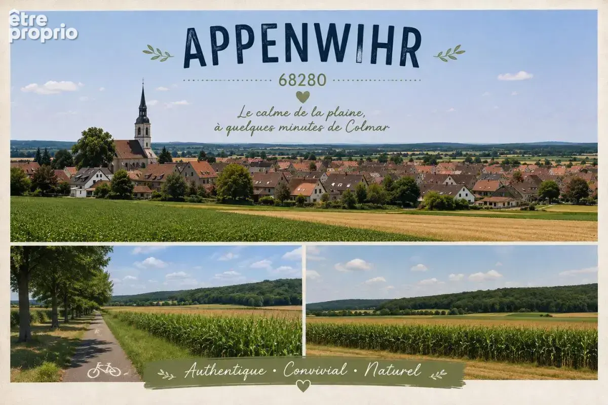 Appenwihr – Le calme à quelques minutes de Colmar - photo 2
