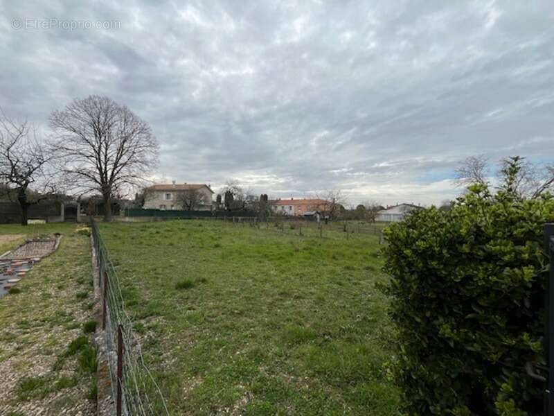 Terrain à SAINT-JEAN-D&#039;ANGELY