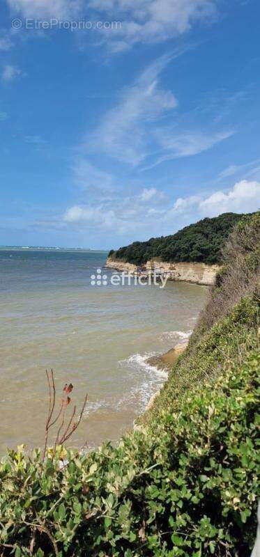 Maison 65 m² à Meschers-Sur-Gironde  - photo 13