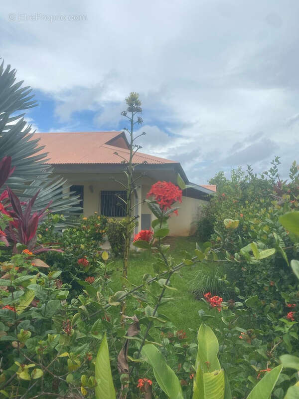 Maison à REMIRE-MONTJOLY