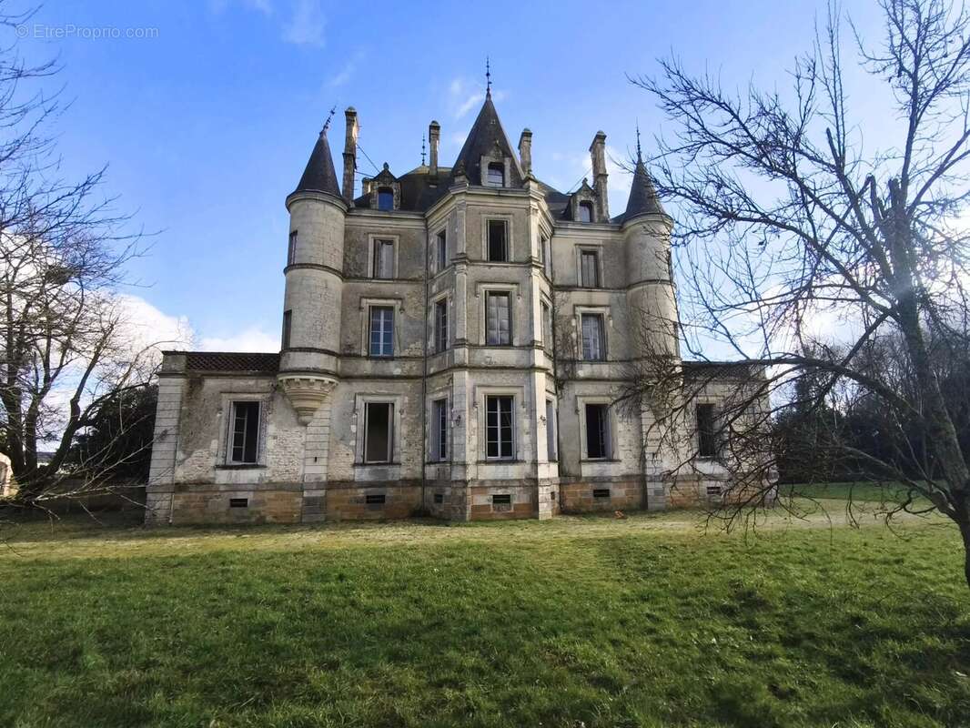 Élégant Château du XIXe siècle avec parc, piscine et maisons d’amis - photo 2