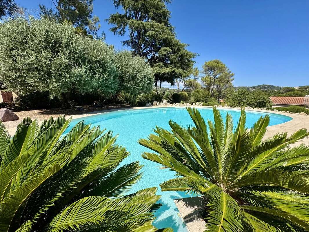 Mougins vente villa individuelle avec piscine - photo 9