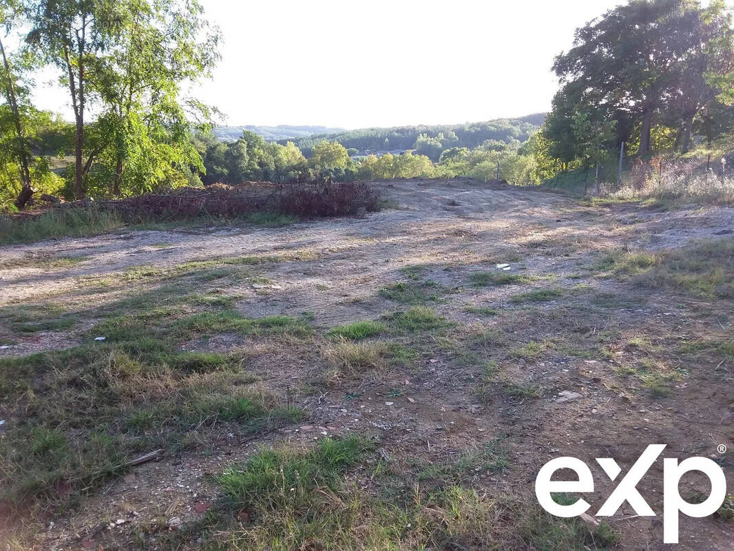 Terrain à MOLIERES
