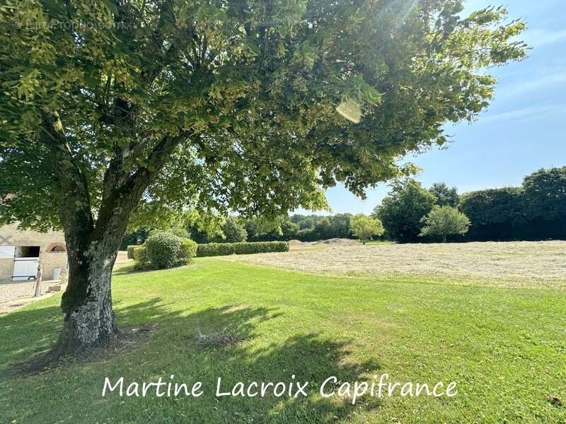 Dpt SARTHE (72), à vendre CORMES - PROPRIÉTÉ  P8 de 226 m² - Terrain de 2,50 Ha - photo 8