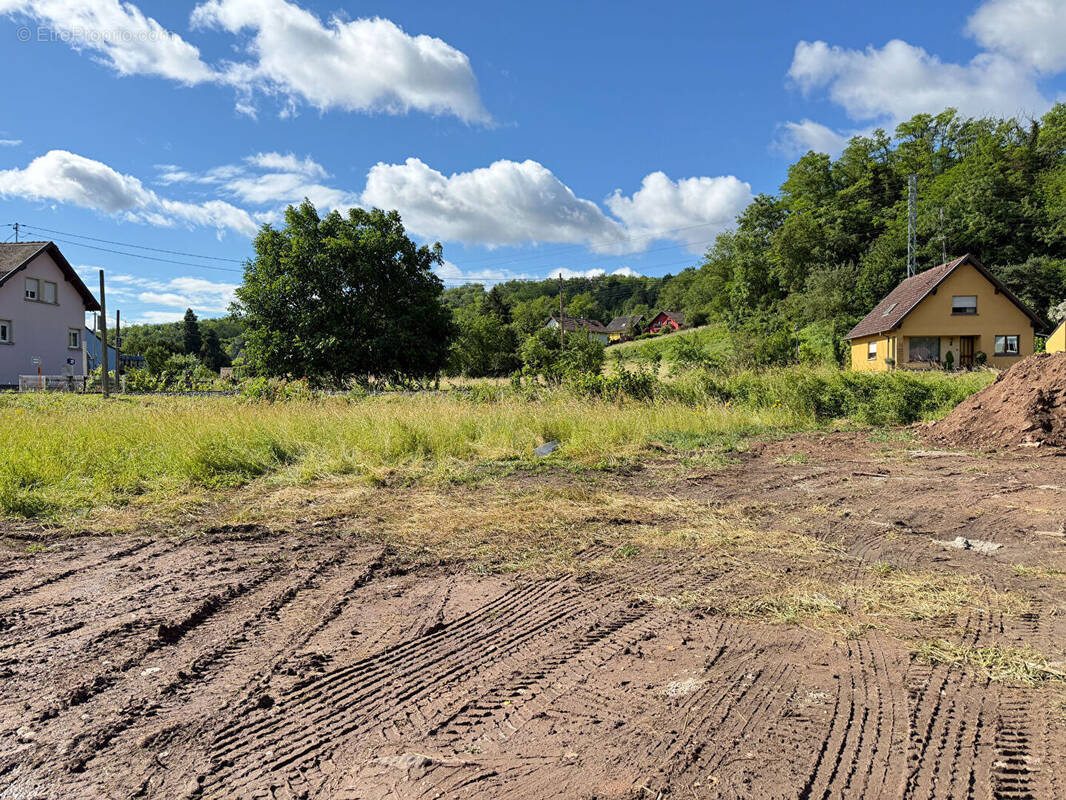 Terrain à MUTZIG