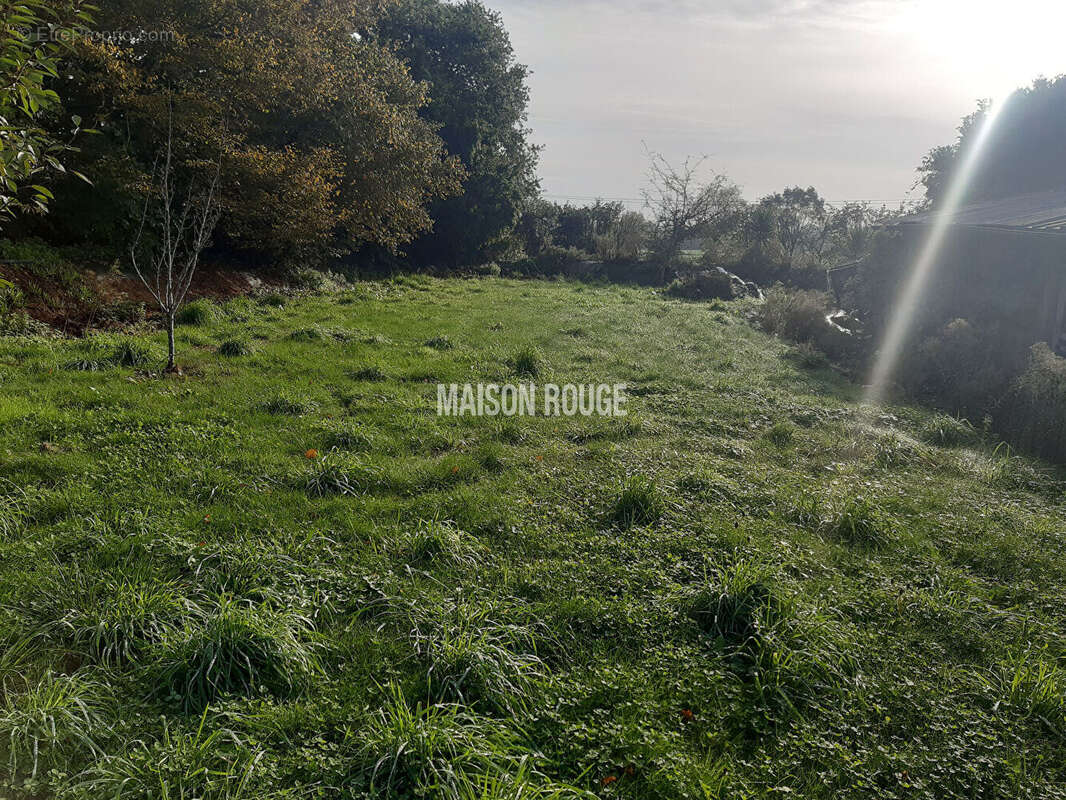 Maison à SAINT-ALBAN