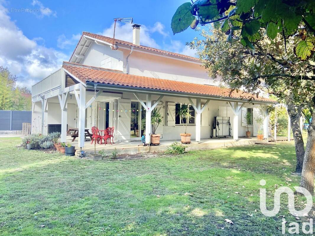 Photo 1 - Maison à SAINT-JULIEN-EN-BORN