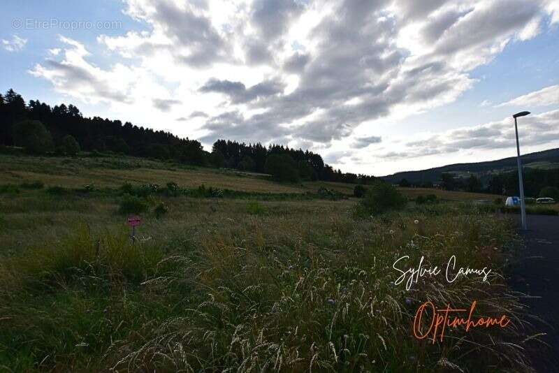Terrain à DUNIERES