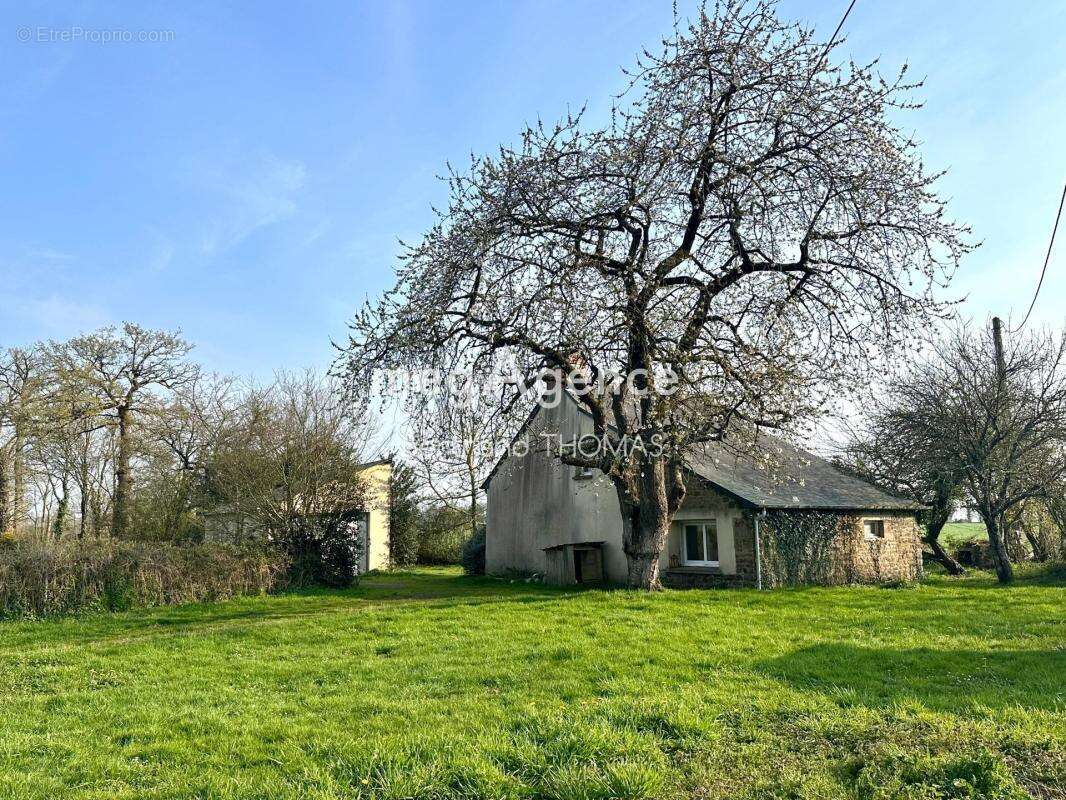 Maison à SENS-DE-BRETAGNE