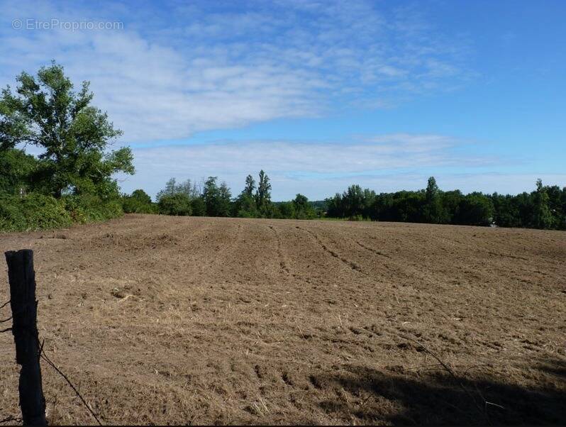 Terrain à SAINT-GERMAIN-DU-PUCH