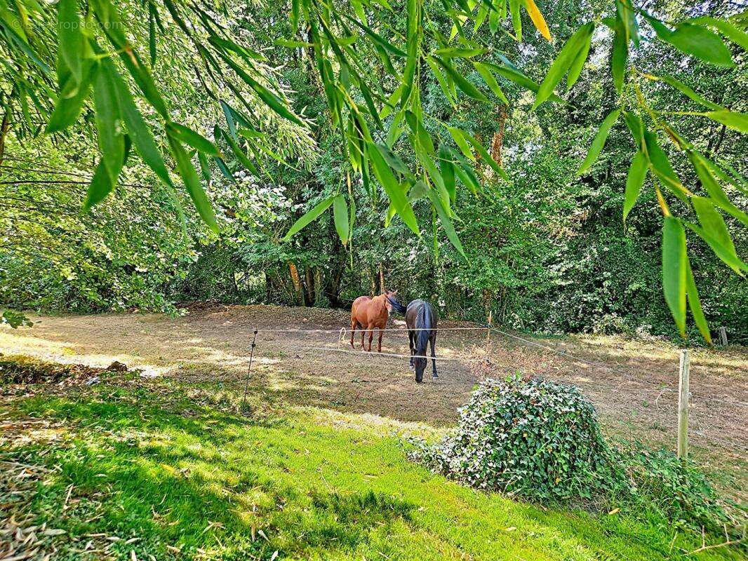 Ancien moulin - photo 3