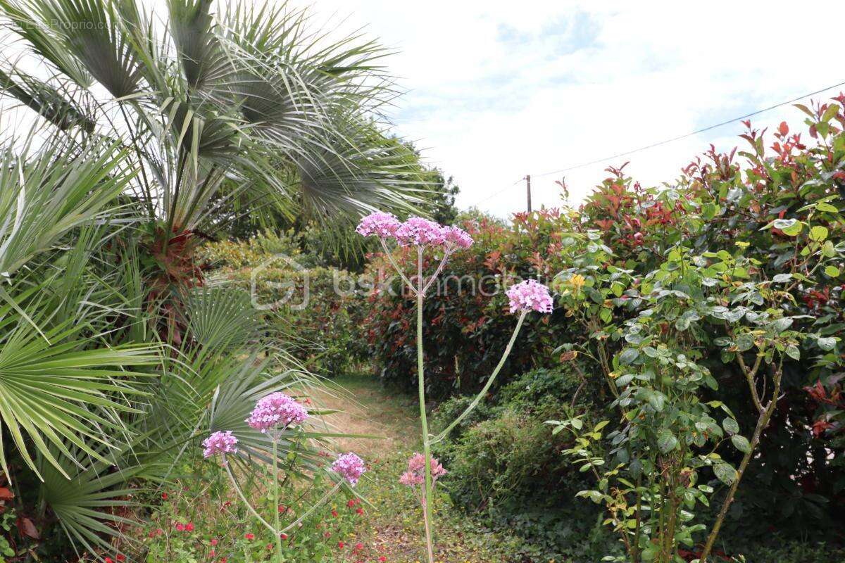 Maison à SAINT-MOLF