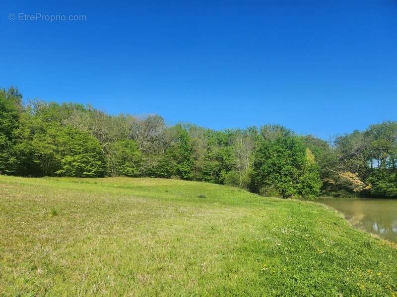 Terrain à VILLENEUVE-SUR-LOT