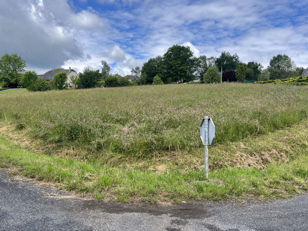 Terrain à SAINT-SOLVE