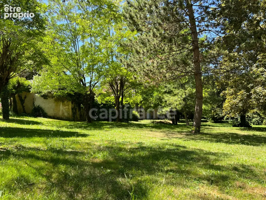 Demeure de caractère au cœur de la Saintonge boisée - Montguyon (17) - photo 17