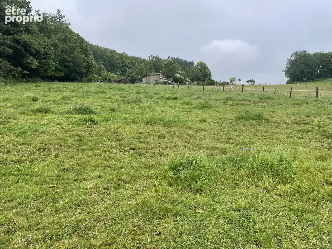 Razès terrain constructible 15 000 m2 - photo 3