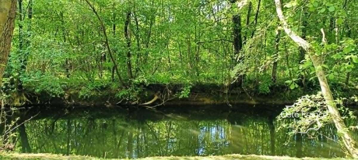 Terrain à MACQUIGNY