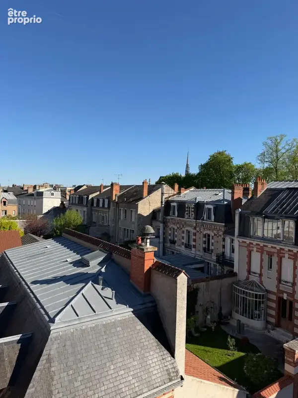 Hôtel Particulier 475m2 hyper centre ville quartier Alsace Loraine à Orléans - photo 15