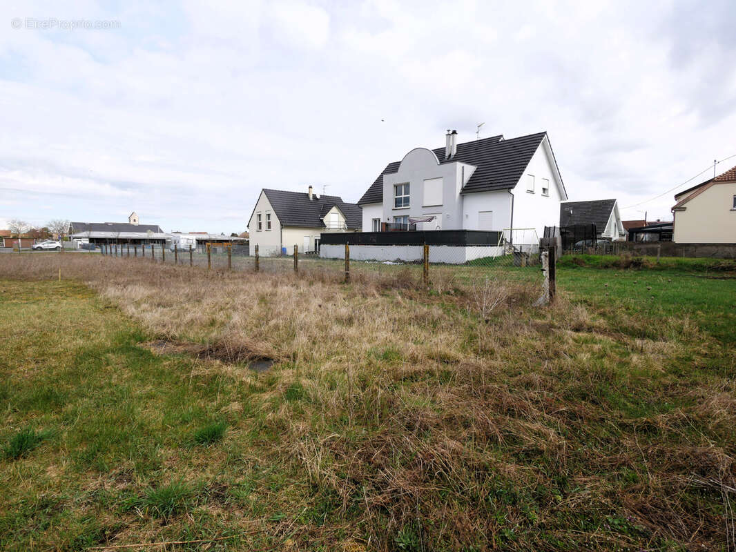 Terrain à HIRTZFELDEN