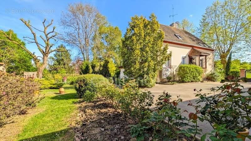 Dpt Saône et Loire (71), à vendre à 15 mn de St Marcel Villa de 163 m² et Maison ou Gite de 95 m² terrain de 4000 m² - photo 22