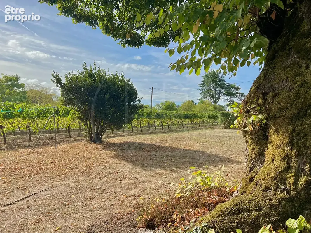 Grande maison de caractère en pierre à fort potentiel - photo 18