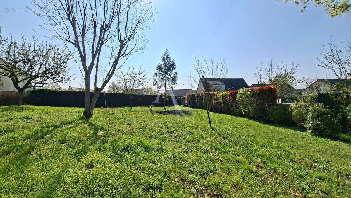 Terrain à VILLEVEQUE