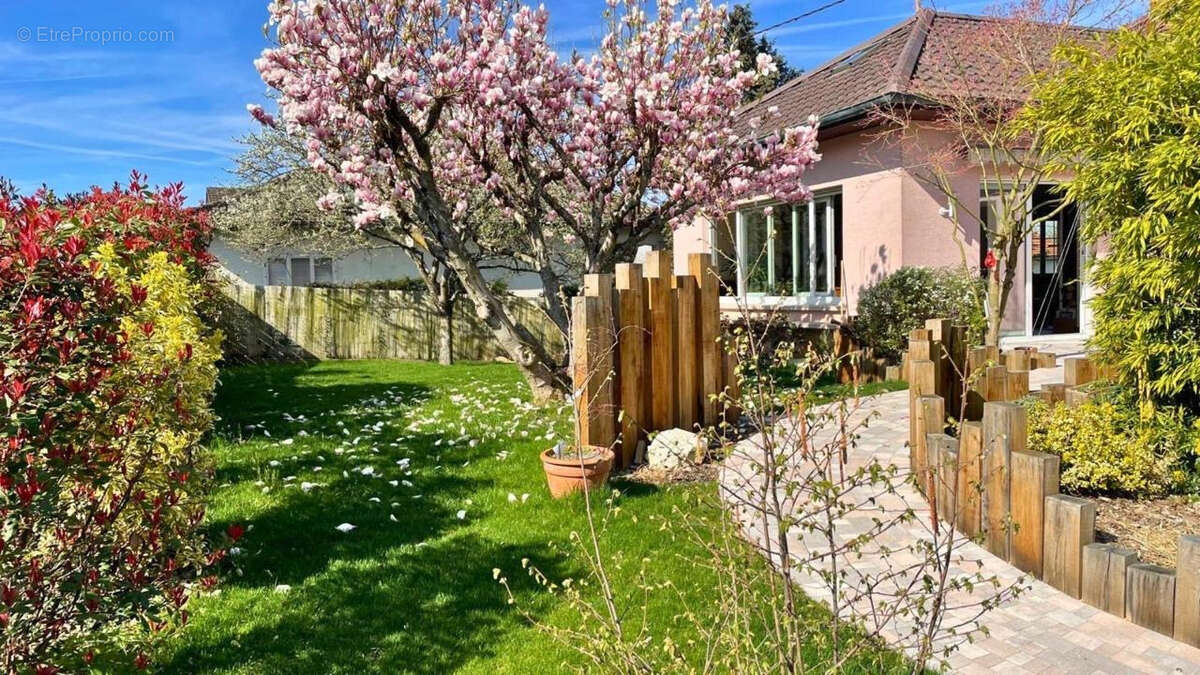 Maison à RIEDISHEIM