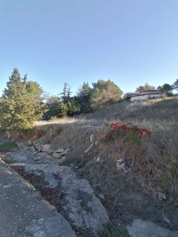 Terrain à Bâtir 986 m2 à Ribaute - photo 2