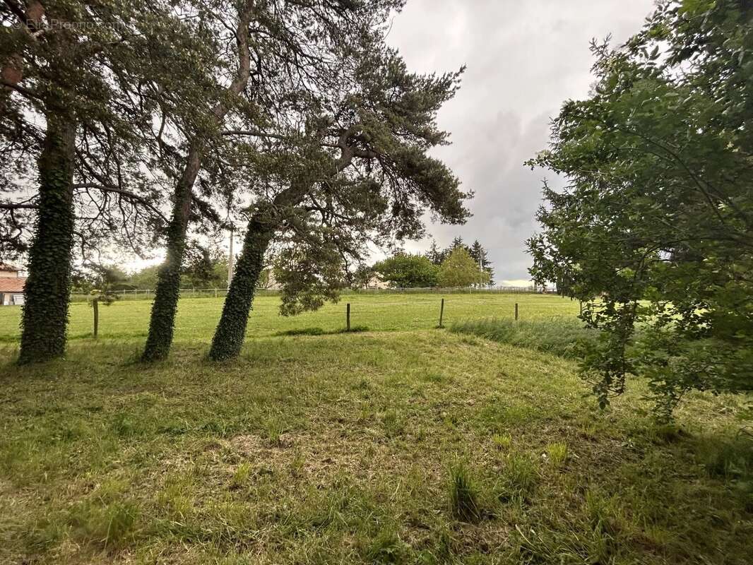 Maison 160 m² à Chasse-Sur-Rhone  - photo 10