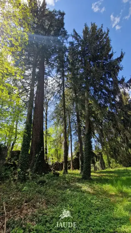 Château du 12ème siècle - photo 2