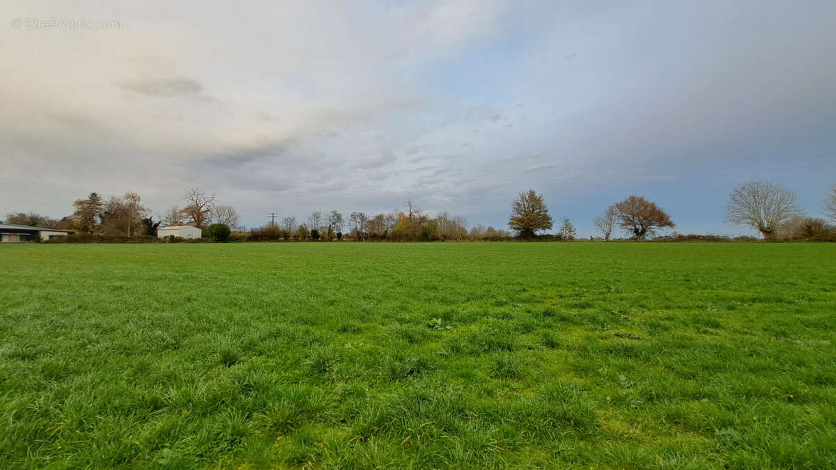 Terrain à SAINT-PARDOUX