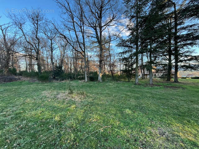 Maison à SAINT-ROMAIN-D'AY