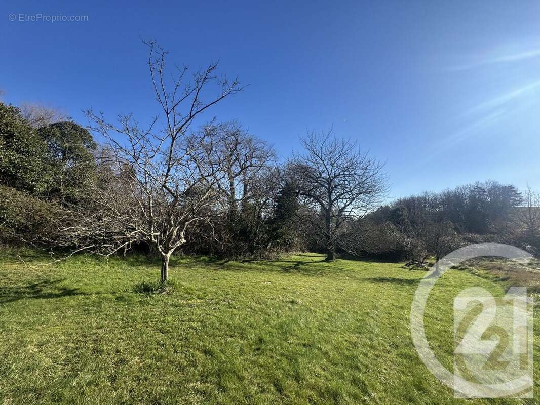 Maison à AVIGNONET-LAURAGAIS