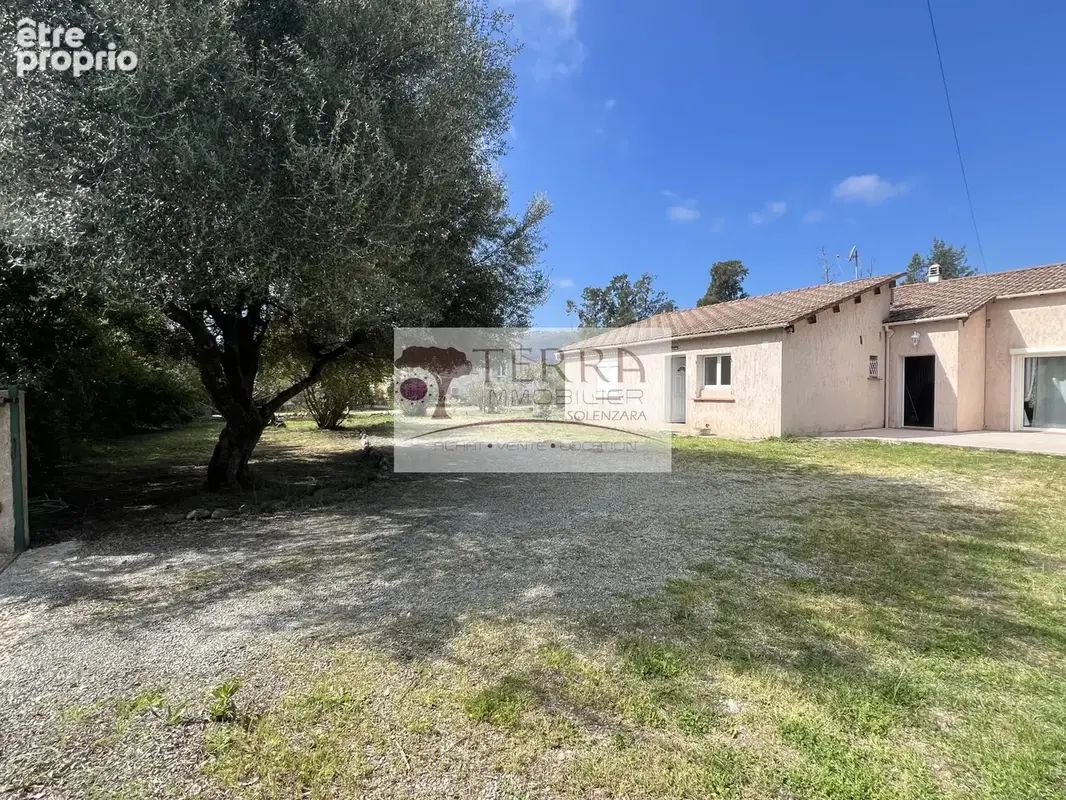 Villa f5/f6 de 190 m2 sur 2000 m2 plaine de prunelli di fiumorbo - photo 17