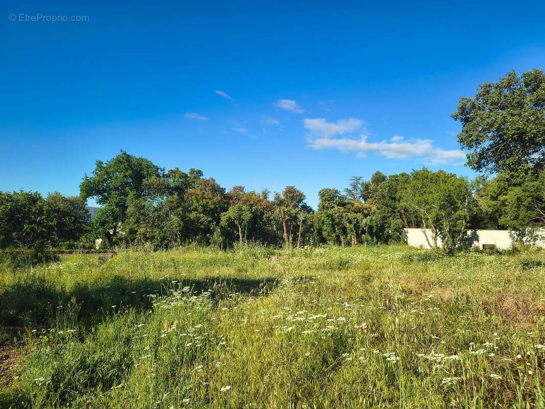 Photo 3 - Terrain à CABRIERES-D'AVIGNON