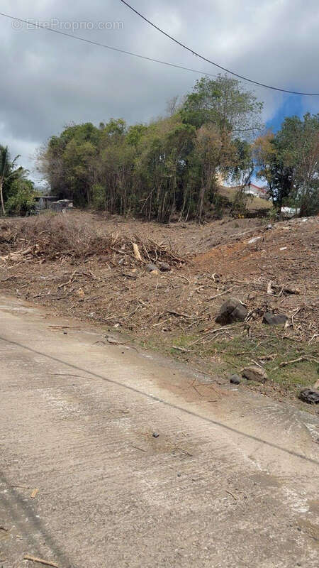 Terrain à RIVIERE-SALEE