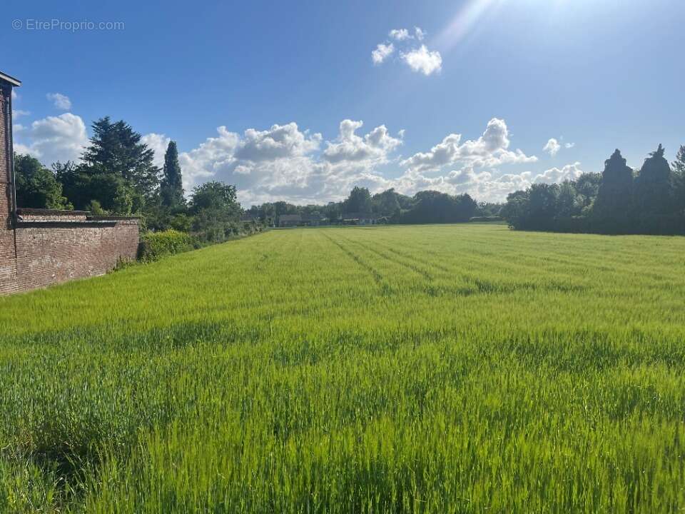 Terrain 1450 m² à Labourse  - photo 3
